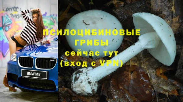 мескалин Алексин