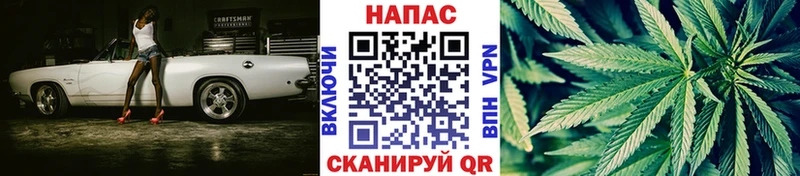 закладки Хвалынск Канабис OG Kush